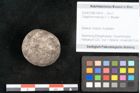 Foto (Objekt + Etikett) von Celyphina maccoyi F.V. Mueller (NHMW-GEO-2024-0188-10419)